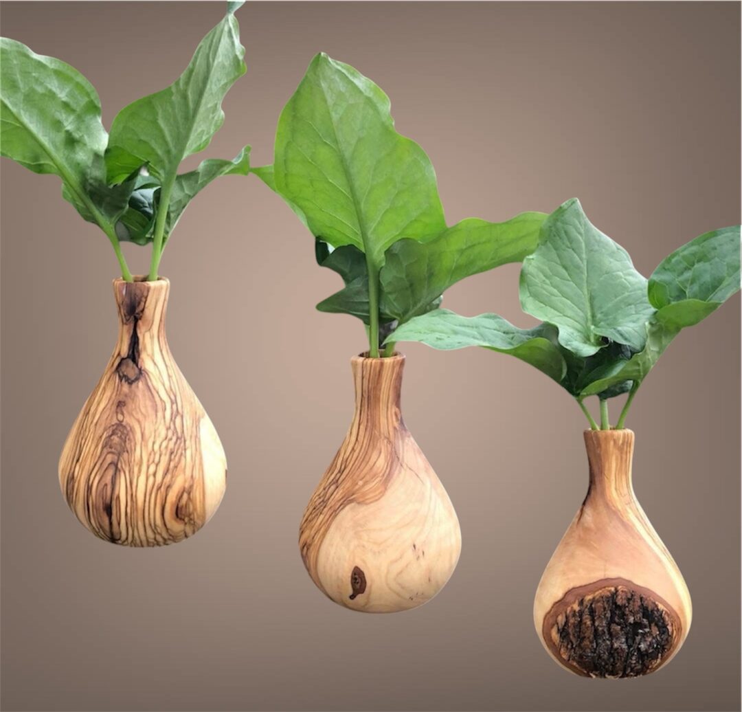 Vase en Olivier – Buis-les-Baronnies