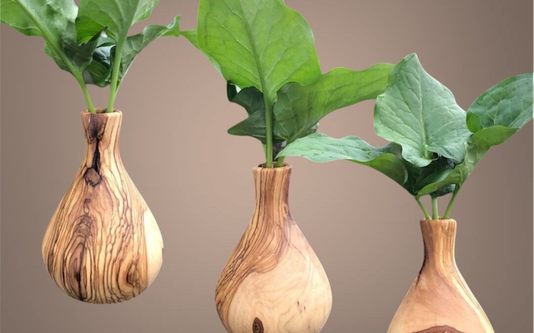 Vase en Olivier – Buis-les-Baronnies