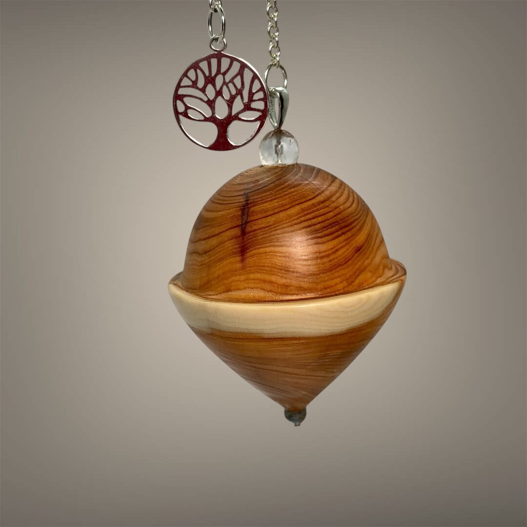 Pendule en If – Bois des Templiers, Bierges