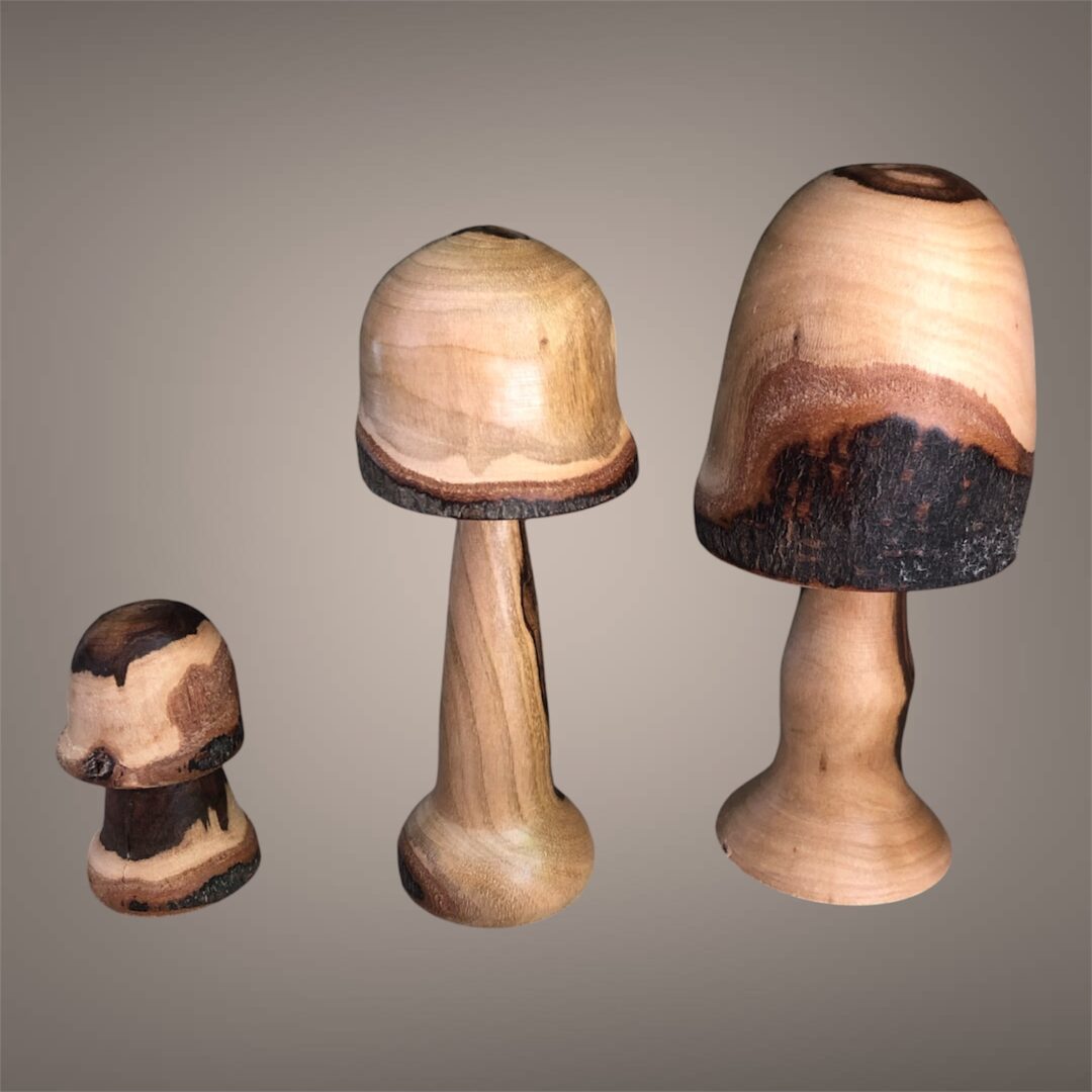 Champignons en Laurier – Bierges