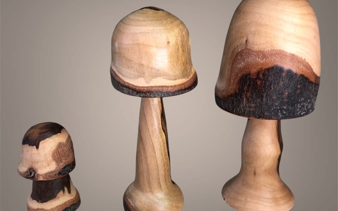 Champignons en Laurier – Bierges
