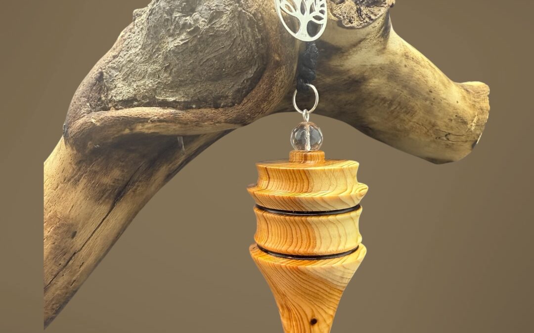 Pendule en If – Bois des Templiers, Bierges