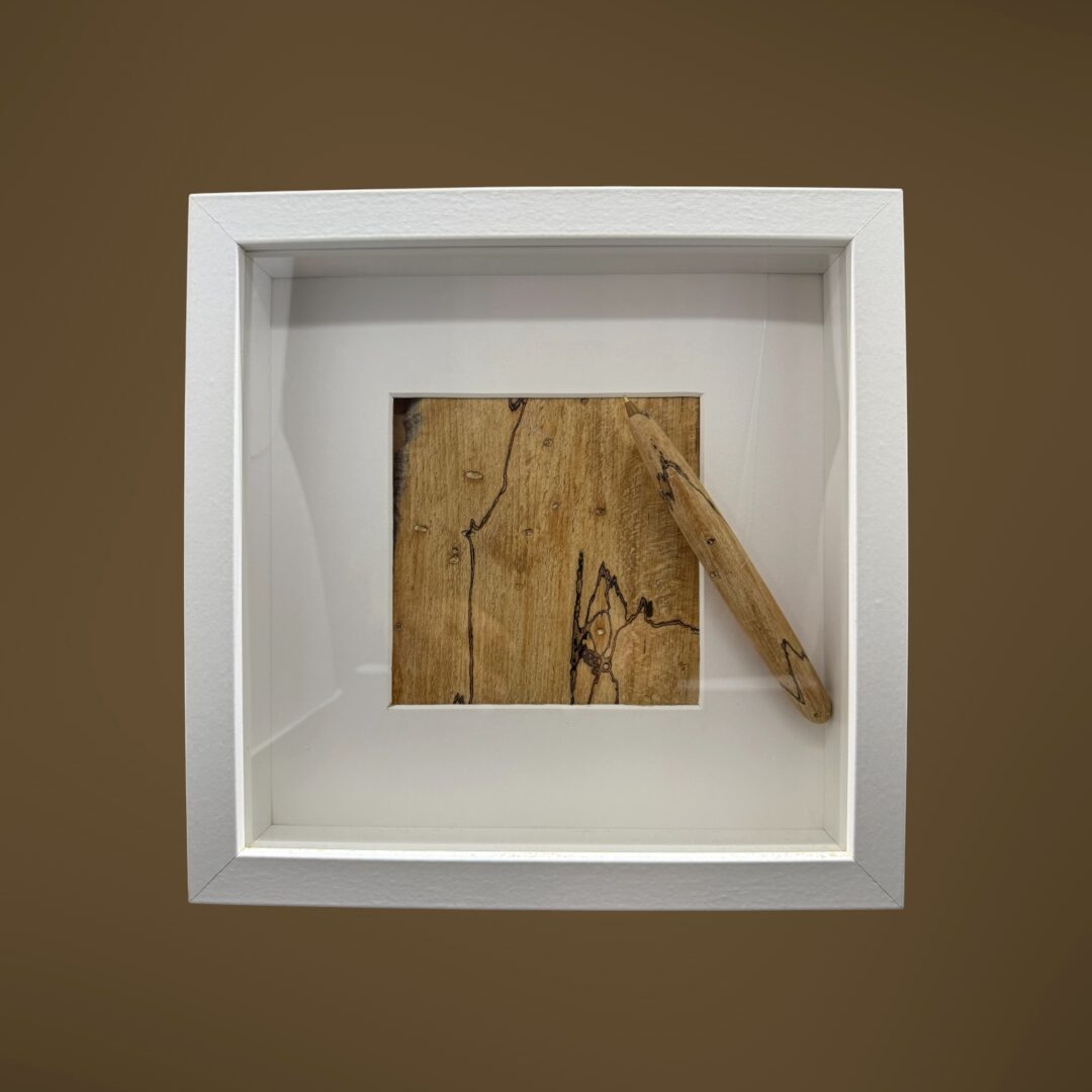 Carrés Partagés – Hêtre – Bois des Templiers